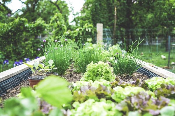 Compost la bloc: un an cu viermi pe balcon și 40% mai puțin gunoi