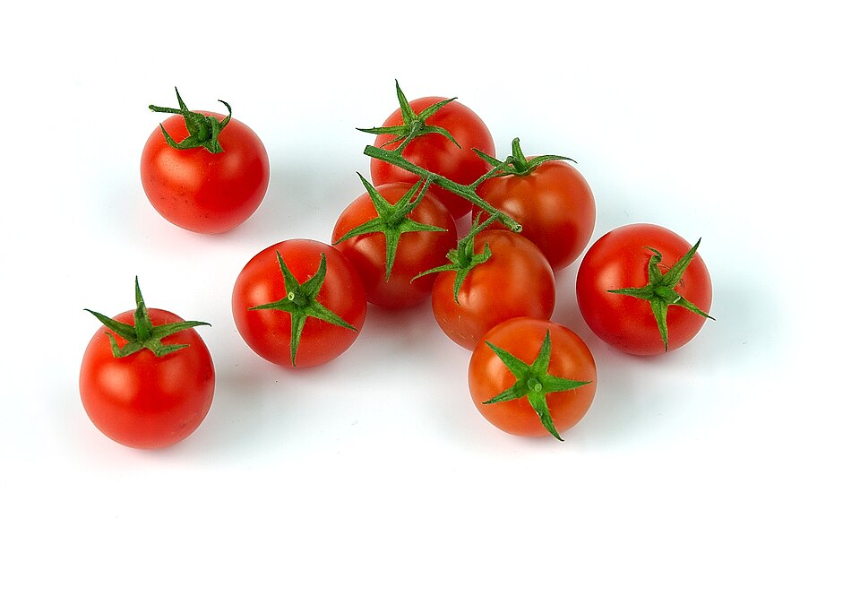 Roșii cherry — poză botanică reală